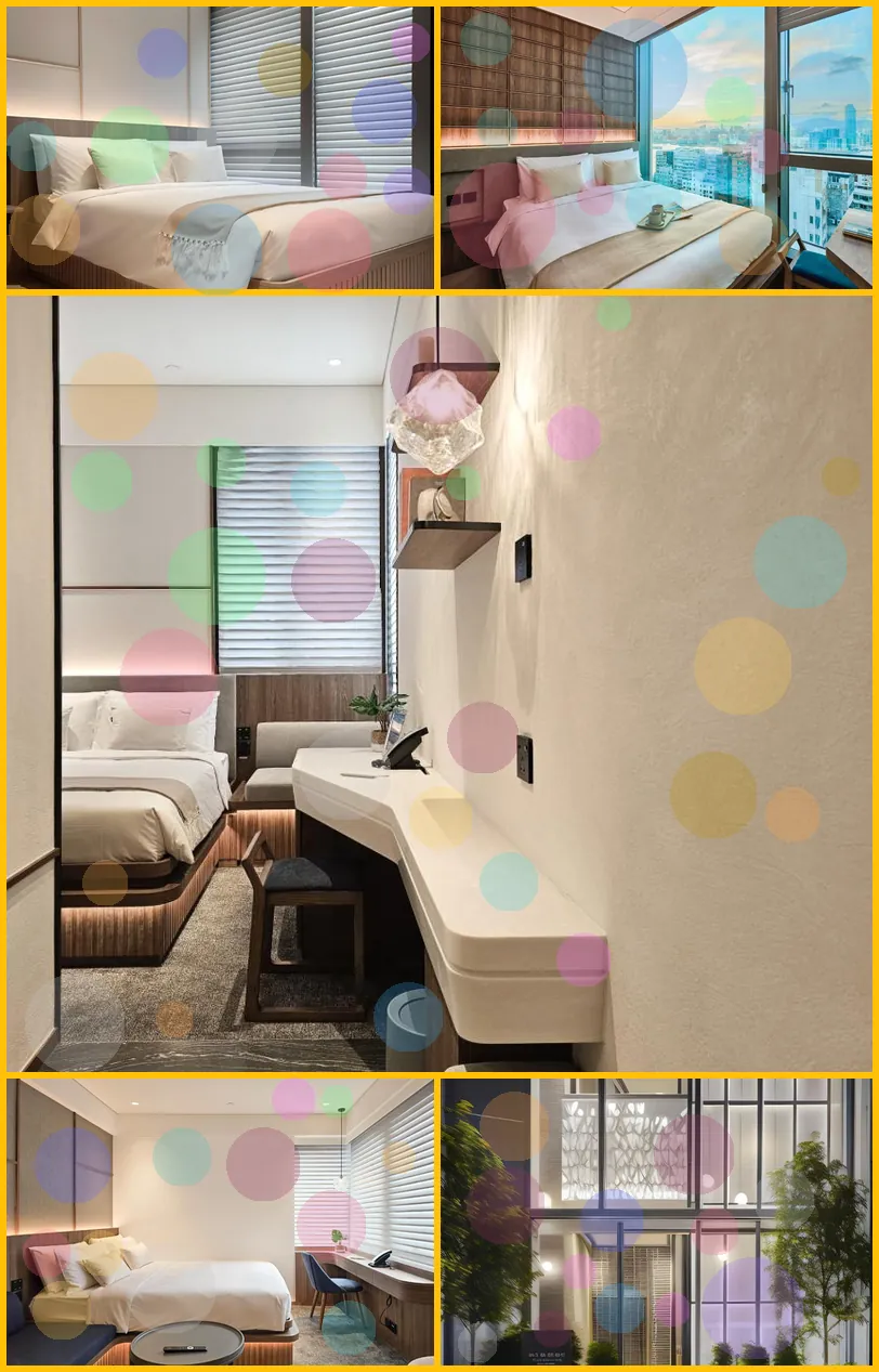 The Stellar 호텔 기타 이미지