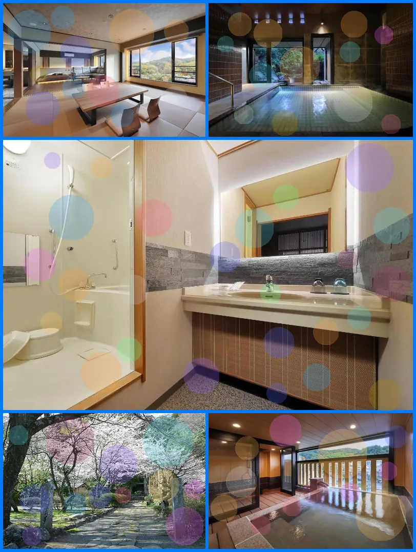 Mizu no Sato Marukyu Ryokan 호텔 기타 이미지