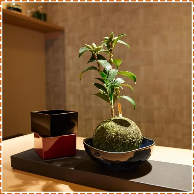 Rinn Shirakawa South 호텔 시설 이미지