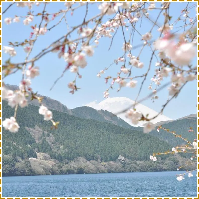 The Prince Hakone Lake Ashinoko 호텔 이미지
