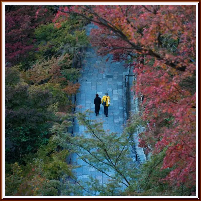 Saka Hotel Kyoto 호텔 이미지