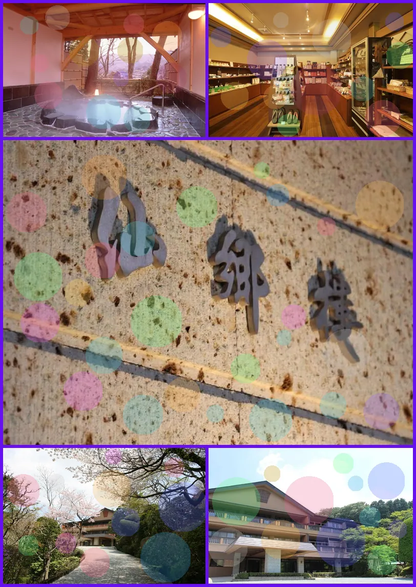 Senkyoro Ryokan 호텔 기타 이미지