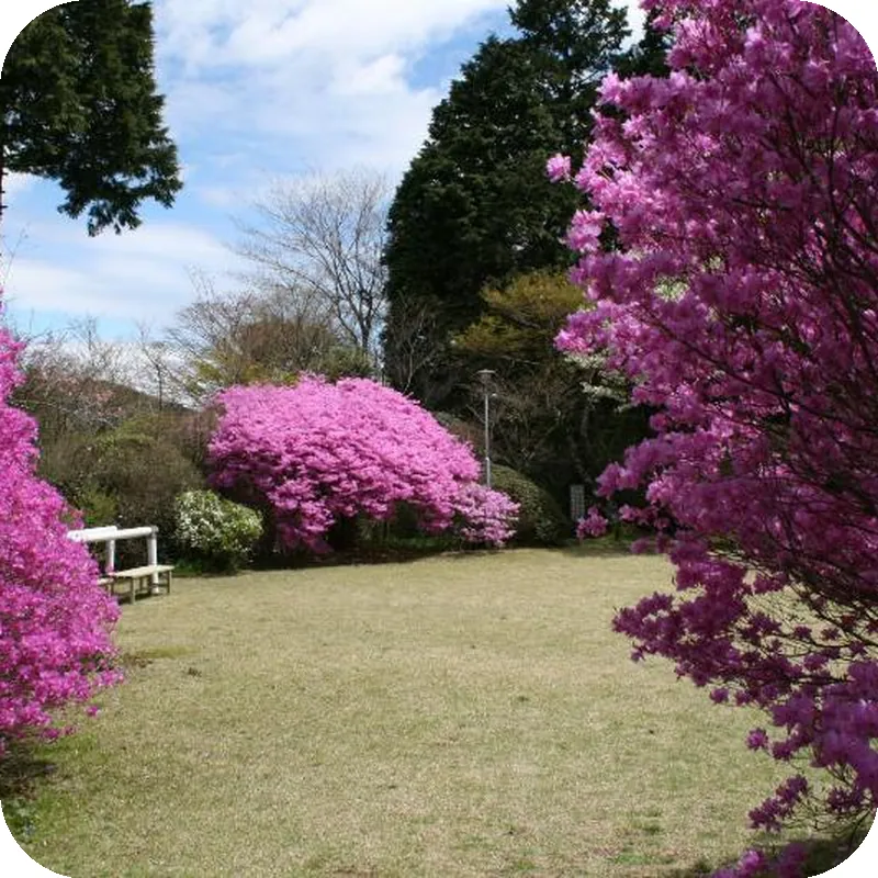 Senkyoro Ryokan 호텔 시설 이미지
