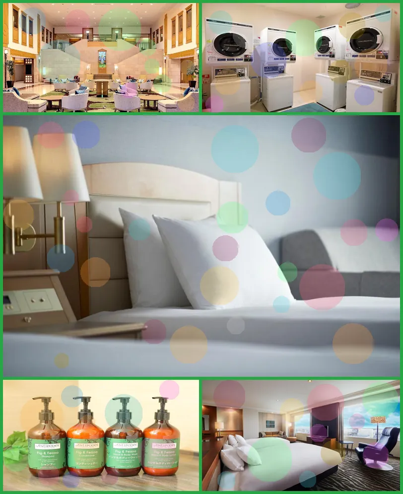 ANA Crowne Plaza Chitose By IHG 호텔 기타 이미지