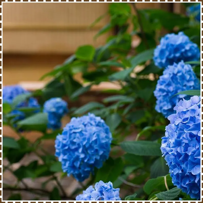 Arima Onsen Motoyu Ryuusenkaku 호텔 이미지