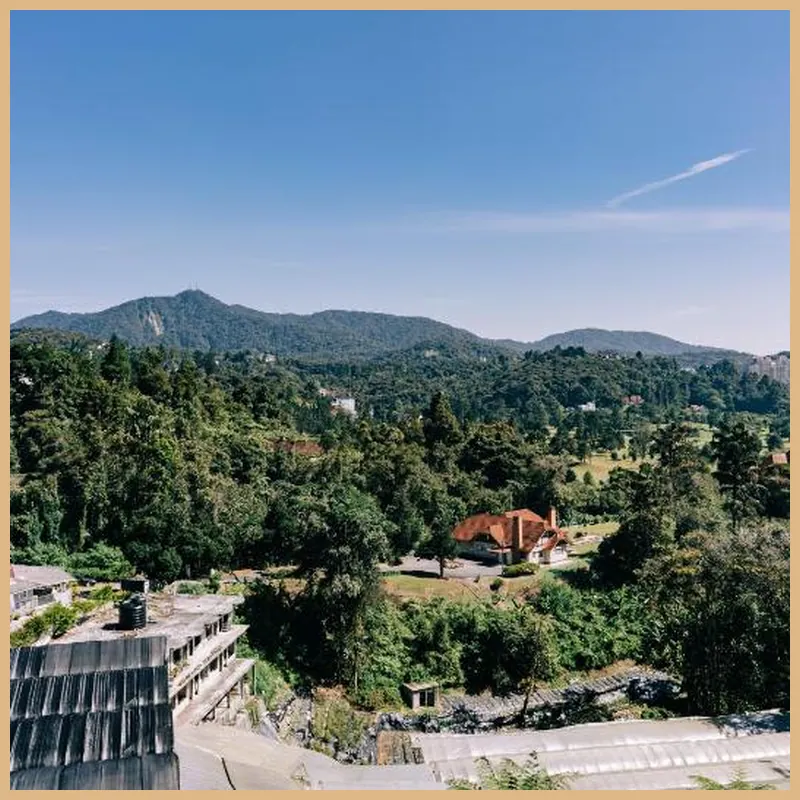 Hotel De'La Ferns 호텔 이미지