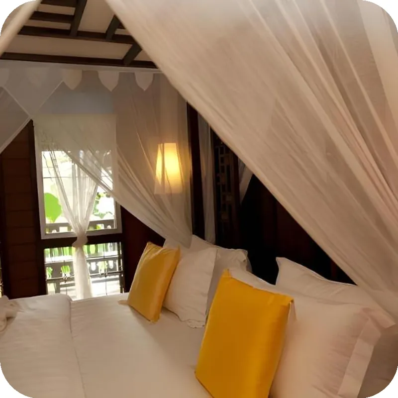 Villa Molek 호텔 내부 이미지