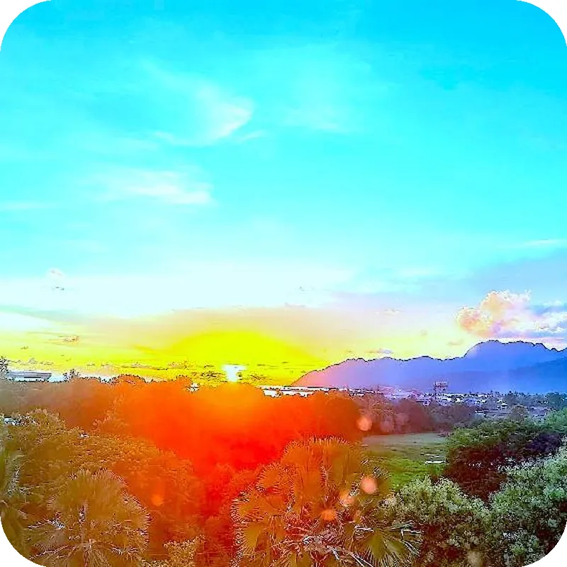 Wings by Croske Resort Langkawi 호텔 이미지