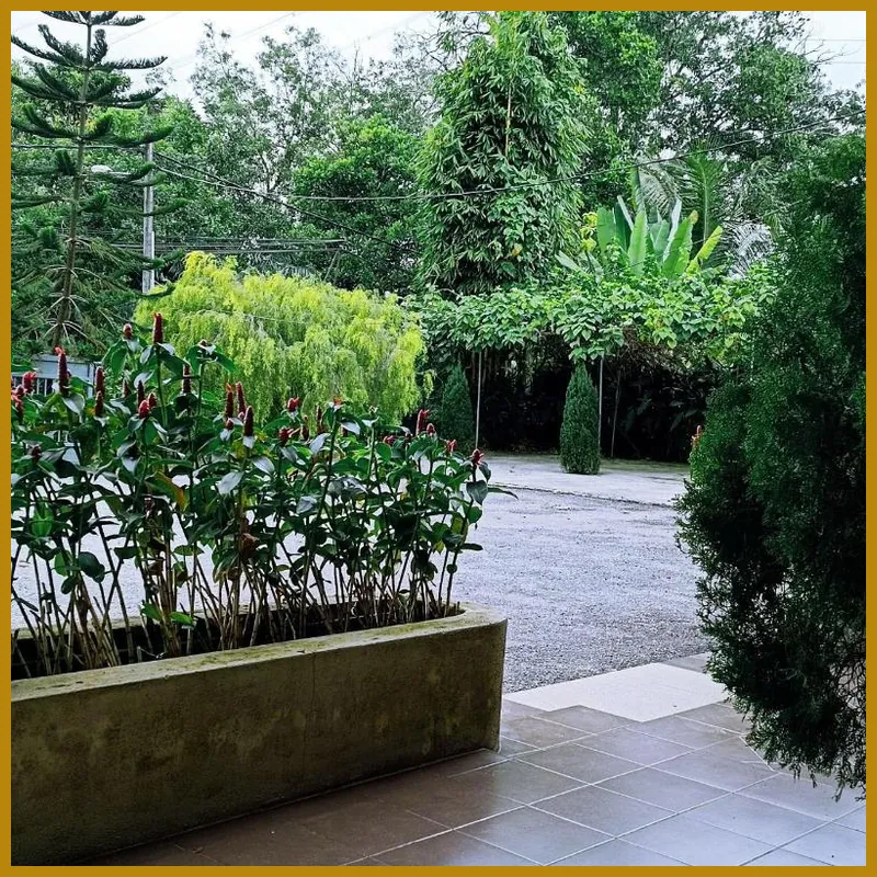 Villa 223 호텔 시설 이미지