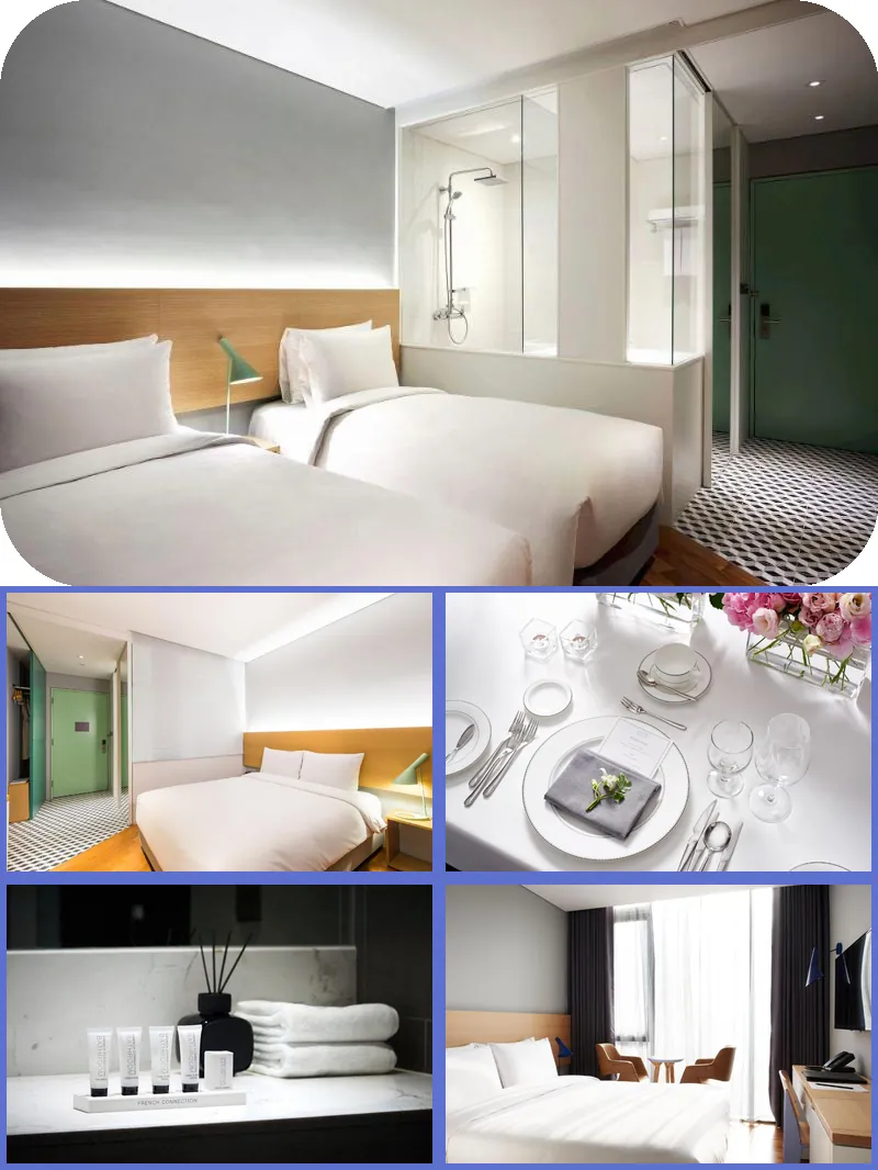 Hotel Peyto Gangnam 호텔 기타 이미지