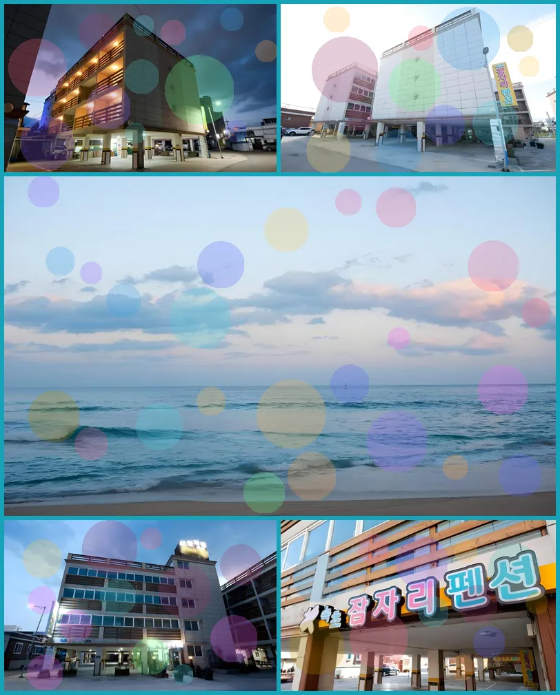 Sokcho Dragonfly Pension 호텔 기타 이미지