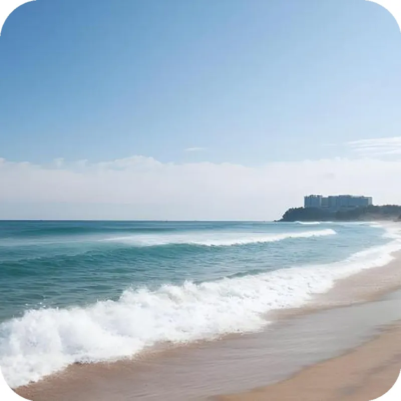 Sokcho Dragonfly Pension 호텔 시설 이미지