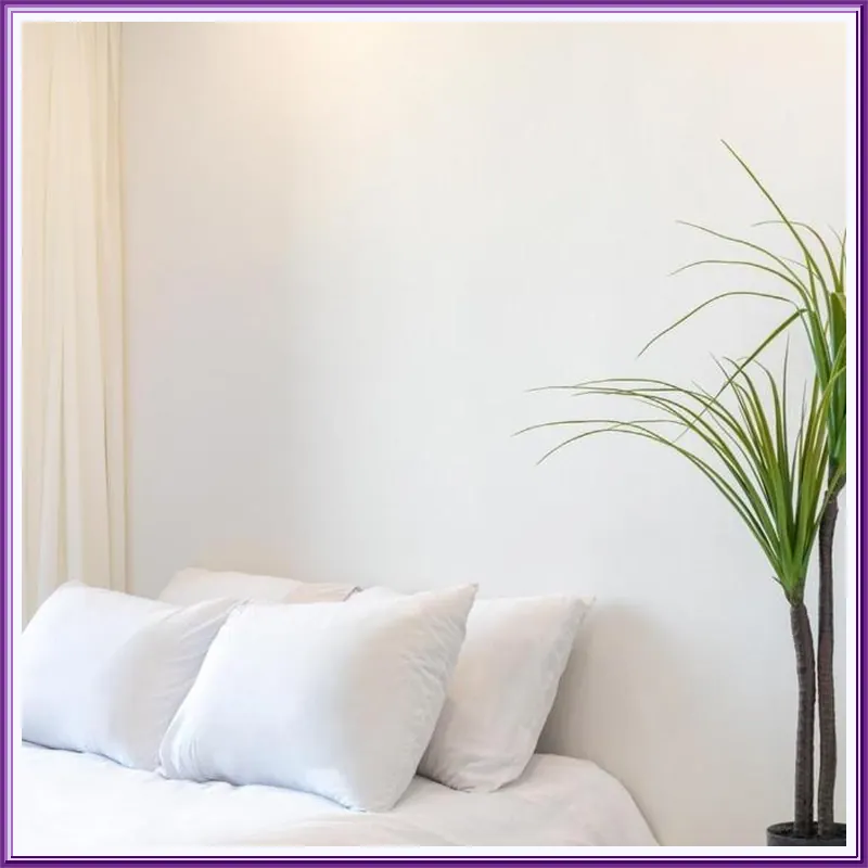 Yangyang Flora Pension 호텔 내부 이미지