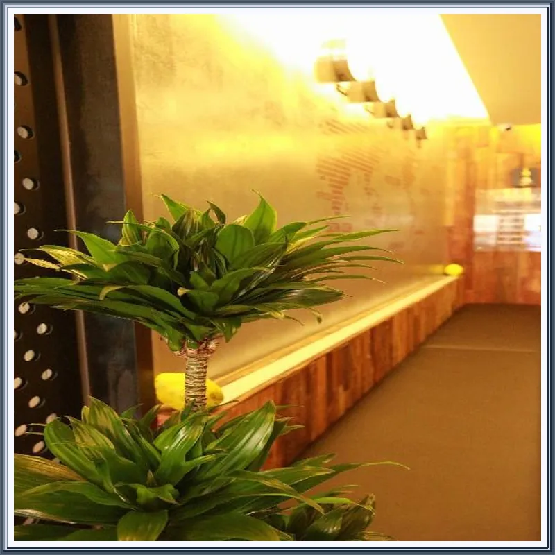Noel Business Hotel 호텔 이미지