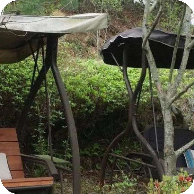 Gyeongju Olive House Pension 호텔 이미지