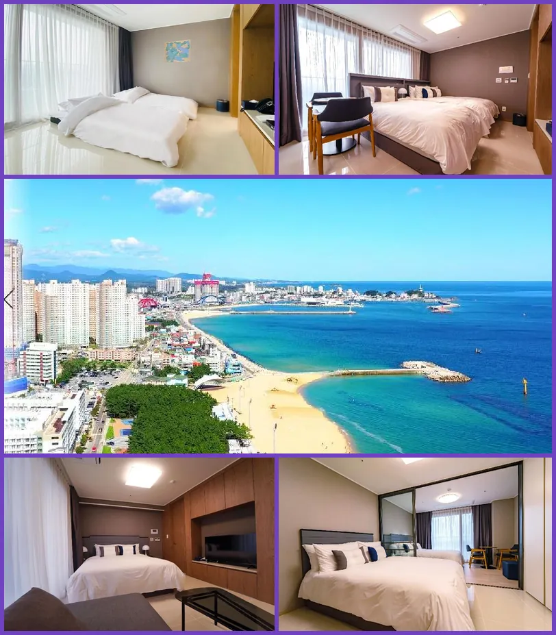 The BlueMark Hotel Sokcho 호텔 기타 이미지