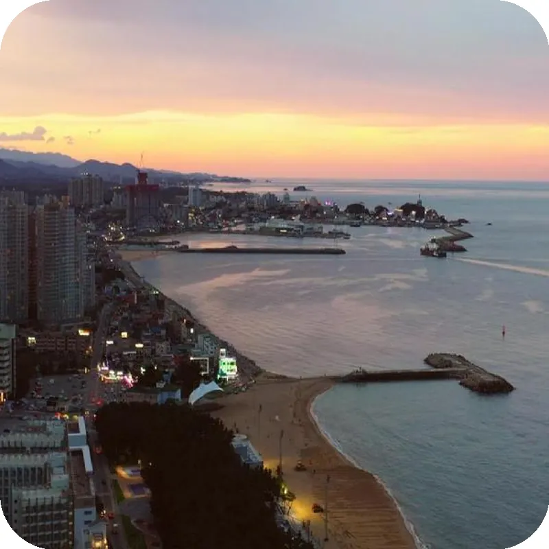 The BlueMark Hotel Sokcho 호텔 시설 이미지