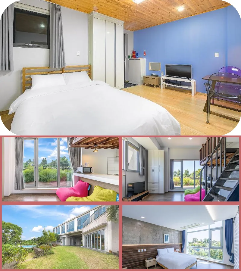 Jeju Color In Jeju Pension 호텔 기타 이미지