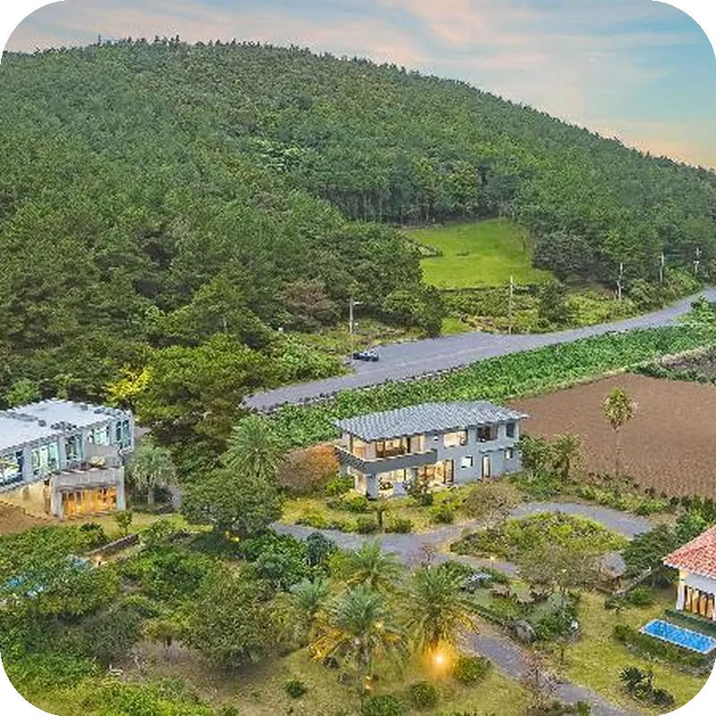 Jeju Color In Jeju Pension 호텔 이미지