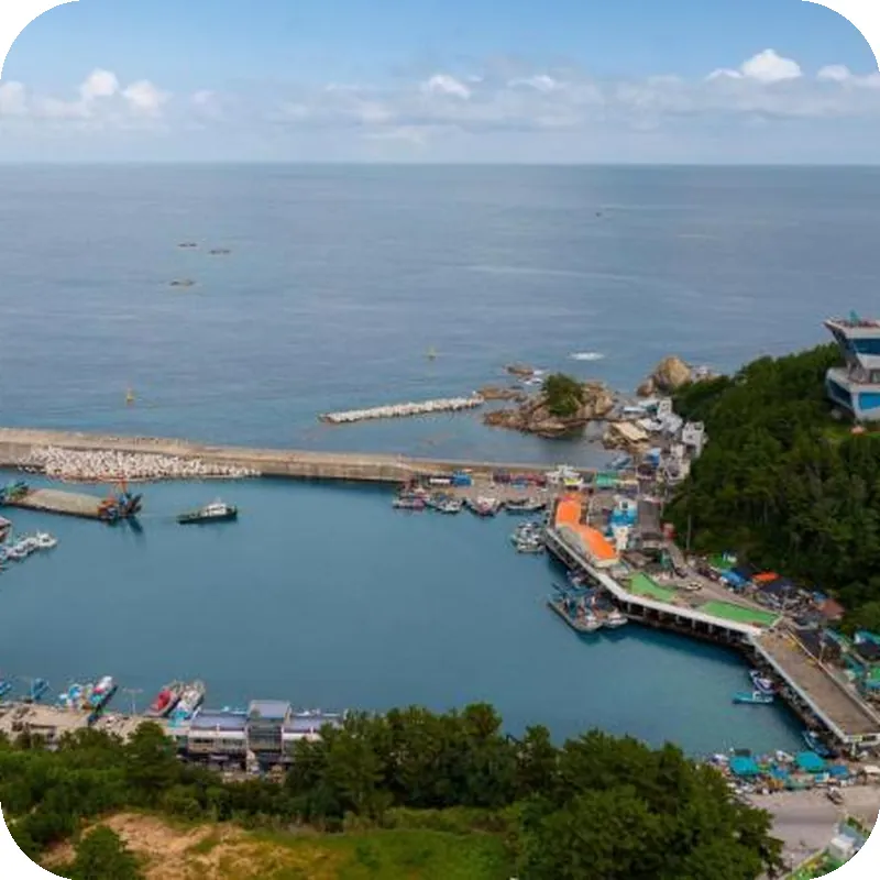 Samcheok sky Pension 호텔 이미지