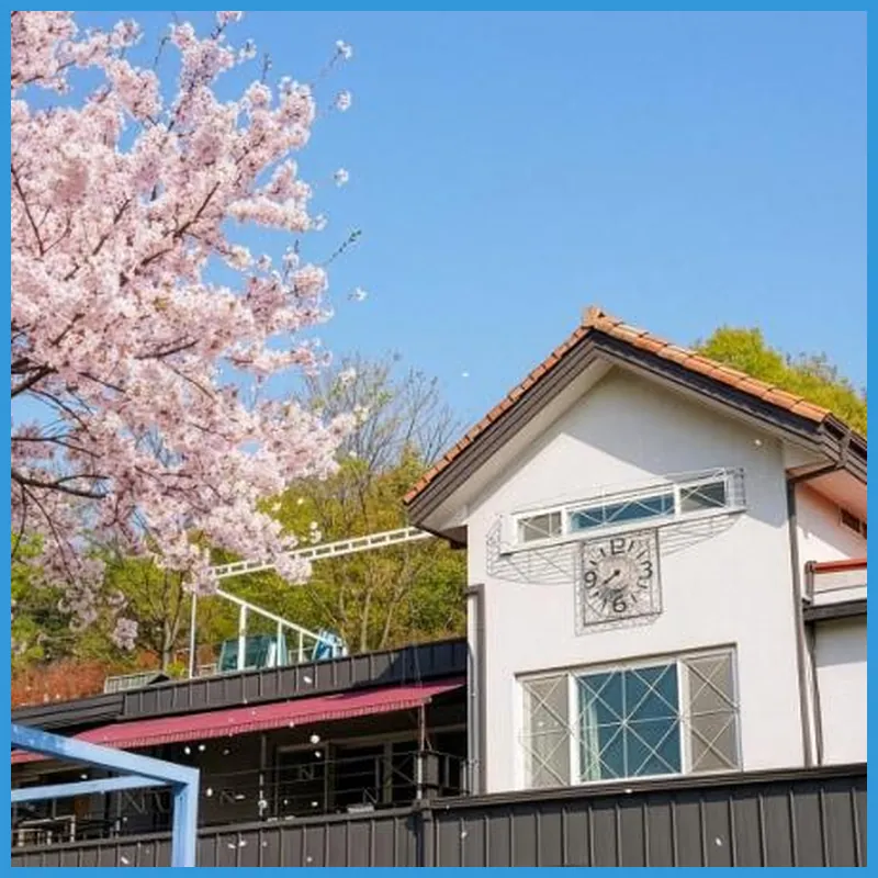 Gapyeong Four Season Pension 호텔 내부 이미지