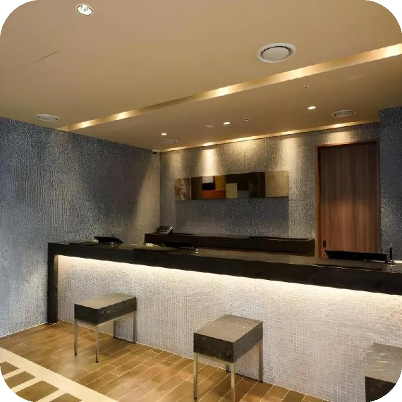 Dormy Inn SEOUL Gangnam 호텔 이미지