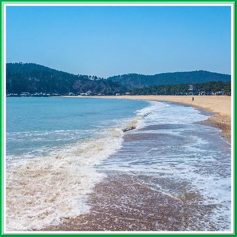 Taean The sea side Pension 호텔 시설 이미지