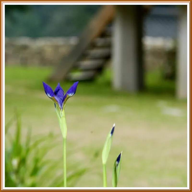 gapyeong cwiongyesulgwan 호텔 시설 이미지