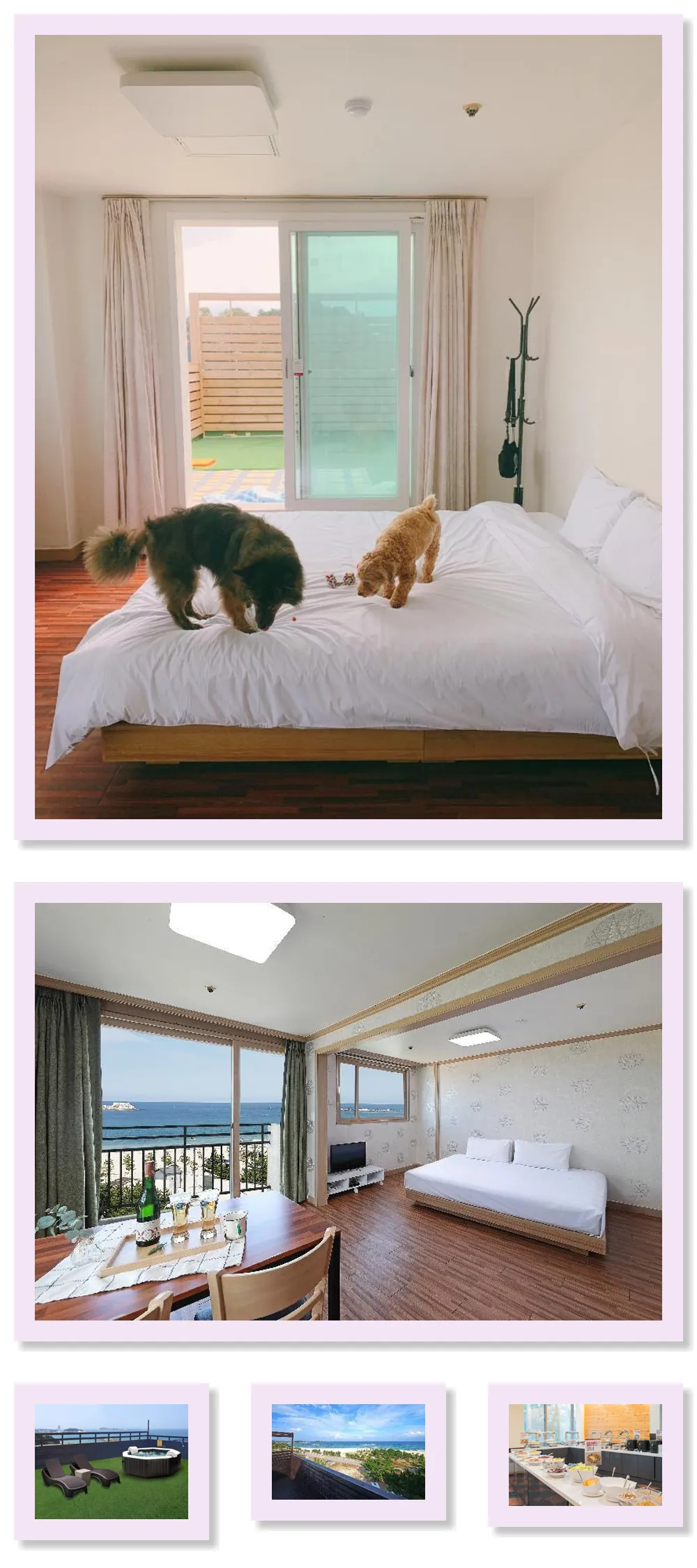 Ocean to You Resort Sokcho Seorak Beach Hotel and Condo 호텔 기타 이미지