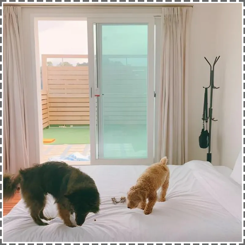 Ocean to You Resort Sokcho Seorak Beach Hotel and Condo 호텔 내부 이미지