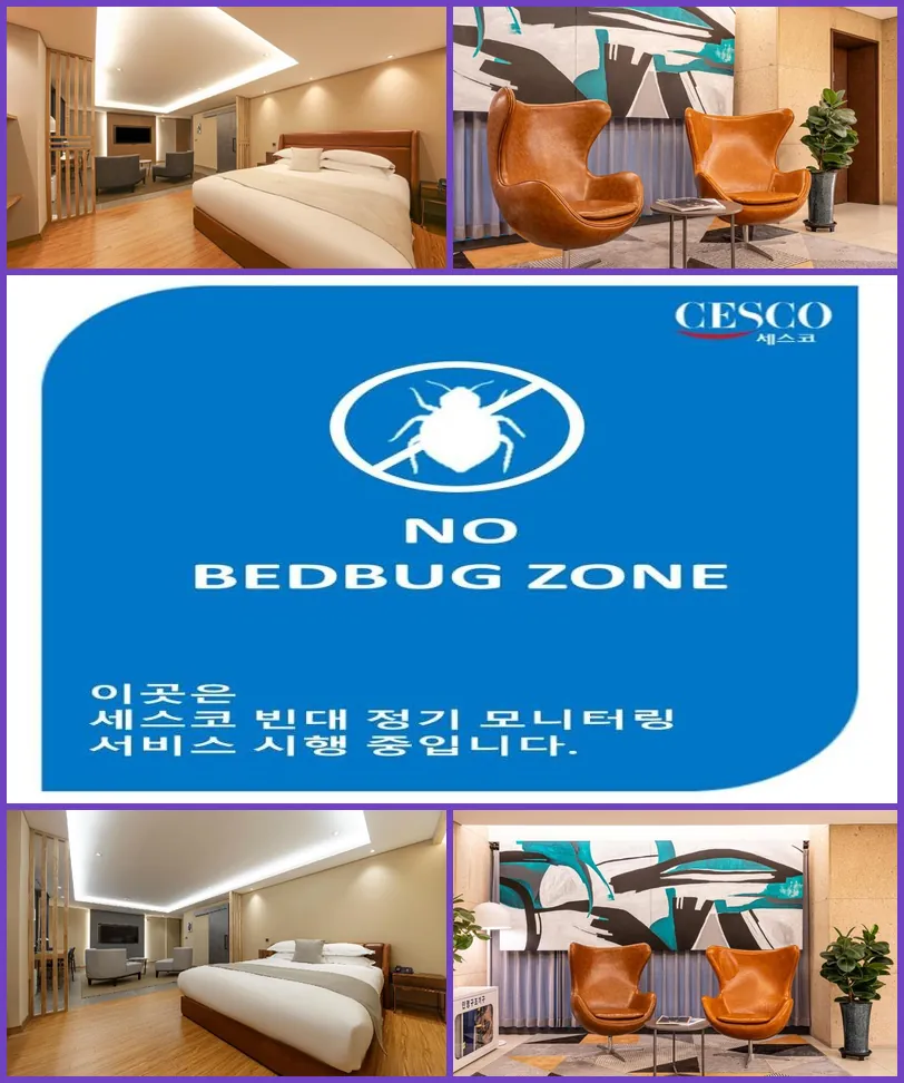 Dongdaegu Station Eastern Hotel 호텔 기타 이미지