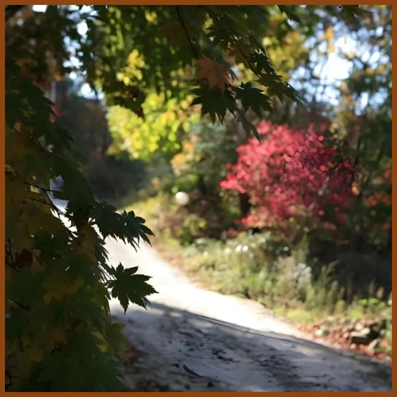 Hyeongcheon Pension 호텔 시설 이미지