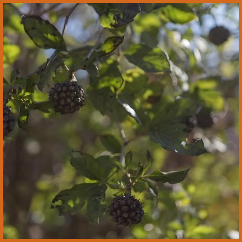 Hyeongcheon Pension 호텔 시설 이미지