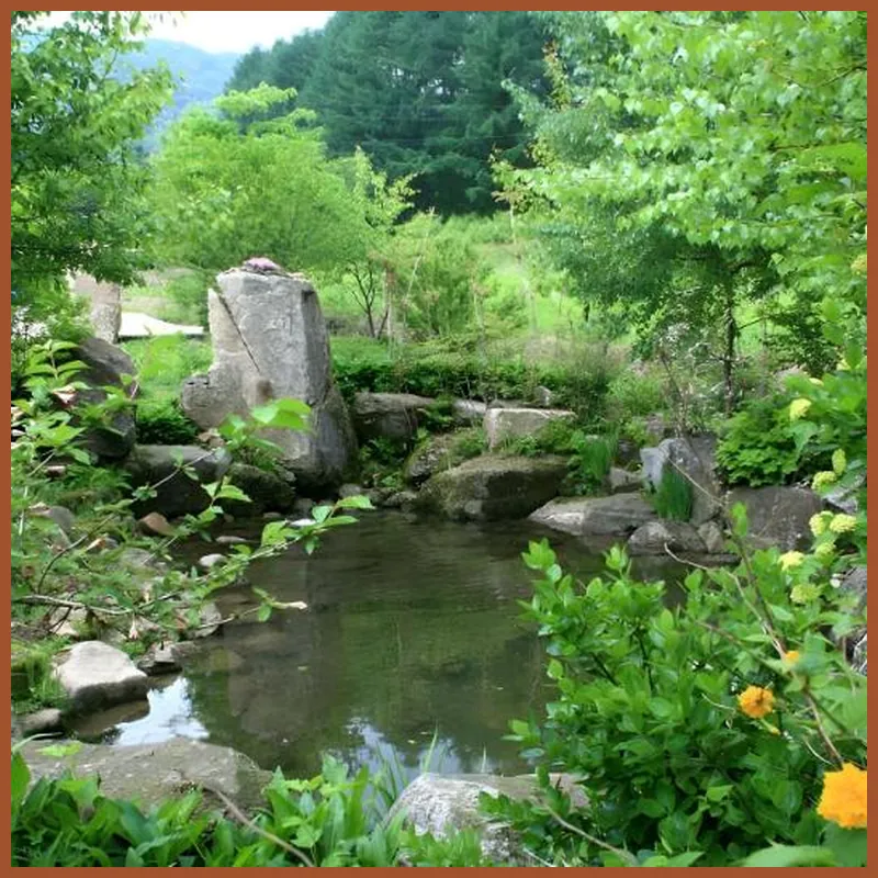 Hyeongcheon Pension 호텔 이미지