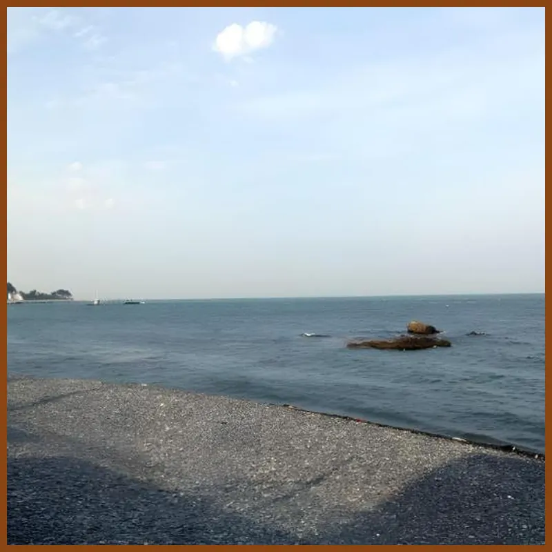 Dancing Whale Pension 호텔 시설 이미지