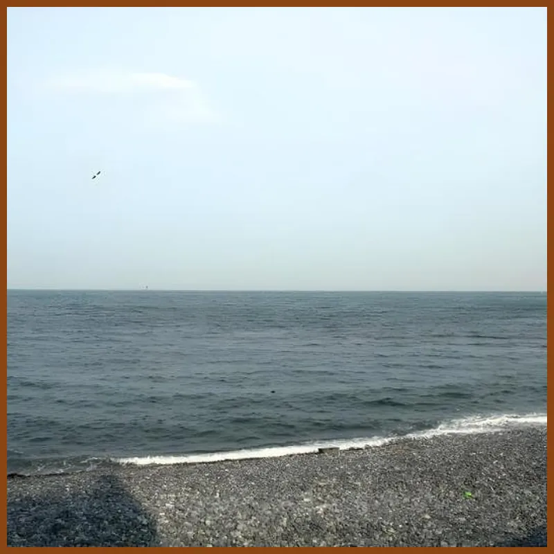 Dancing Whale Pension 호텔 시설 이미지