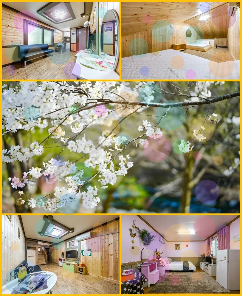 Ecopia Pension 호텔 기타 이미지