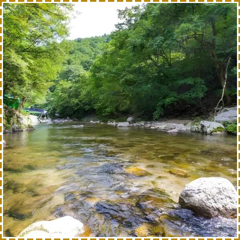 Ecopia Pension 호텔 이미지