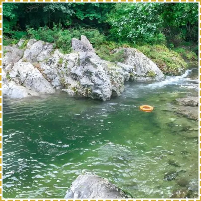 Ecopia Pension 호텔 이미지