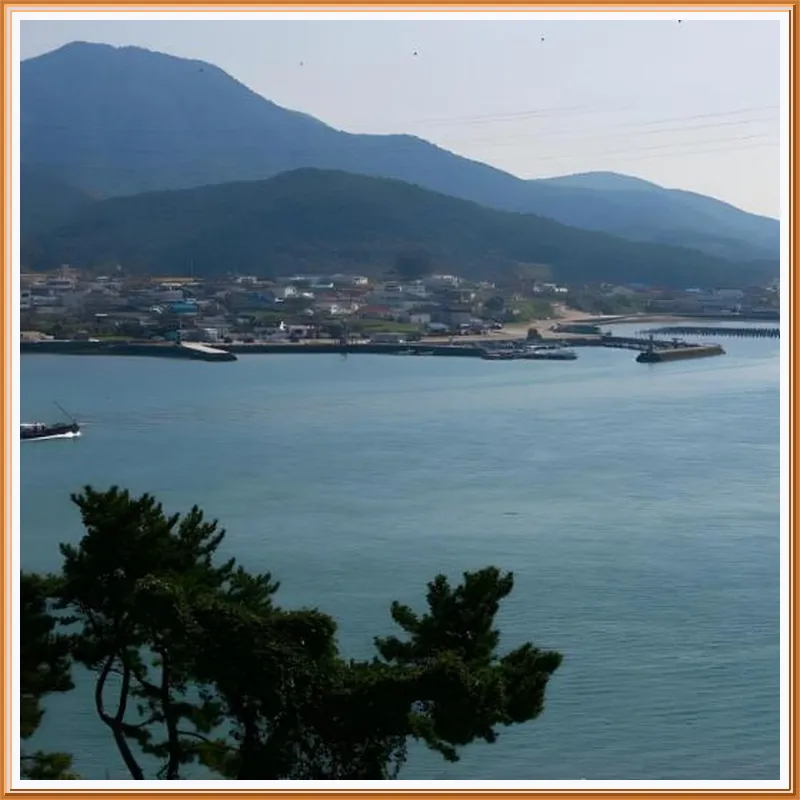 Tuullip Pension 호텔 시설 이미지