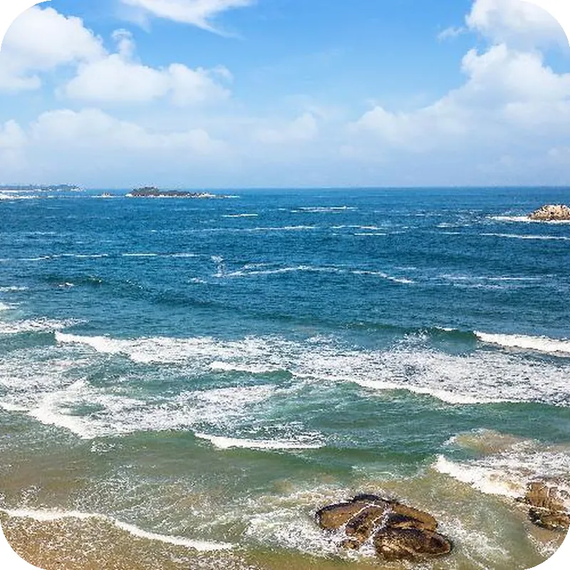 Goseong Oz Pension 호텔 시설 이미지