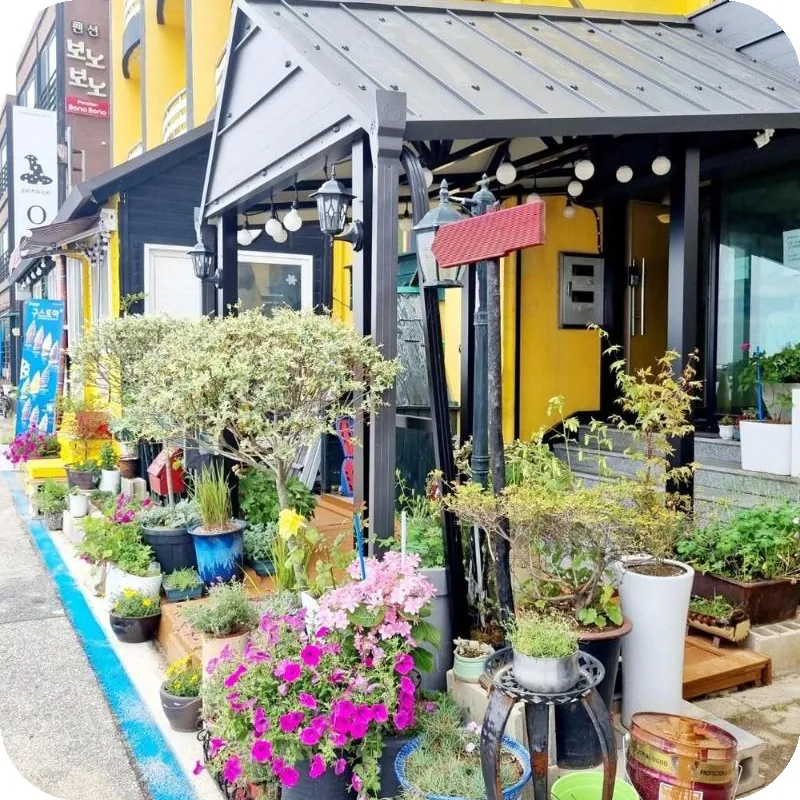 Goseong Oz Pension 호텔 이미지