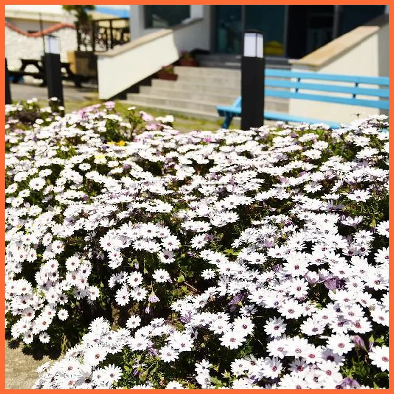 Jeju Hanultari Pension 호텔 시설 이미지