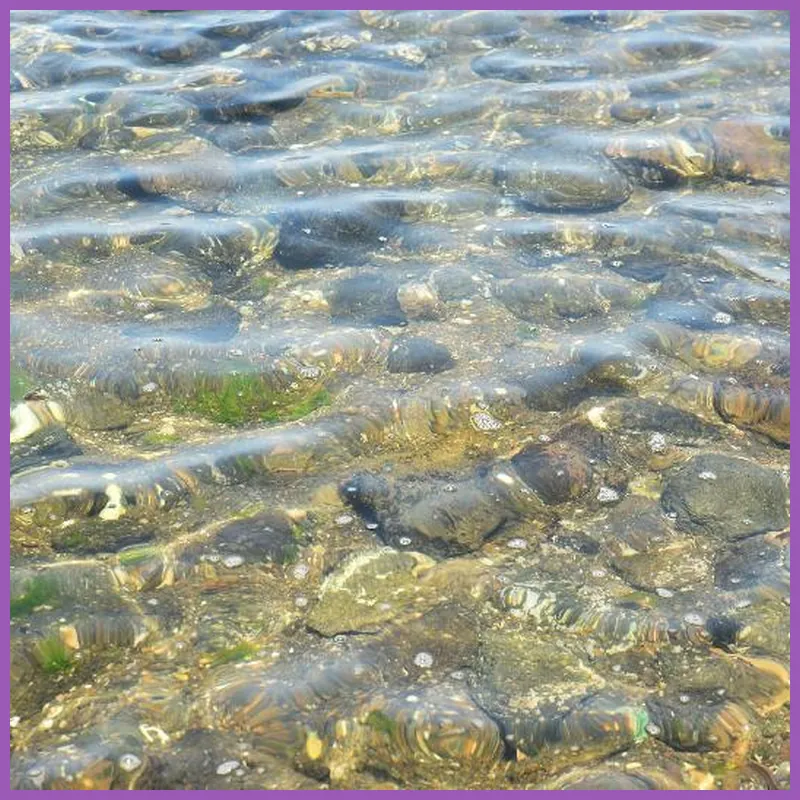 Jeju Hanultari Pension 호텔 이미지