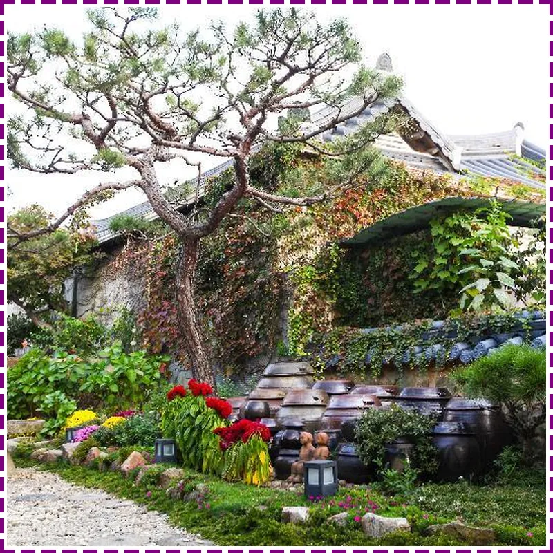 Jeonju Hanok Maeul Samrakheon Hanok 호텔 시설 이미지