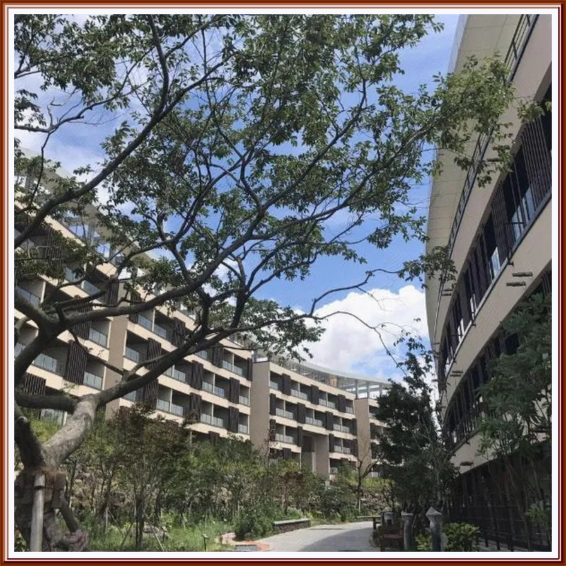 The Qube Resort Jeju 호텔 이미지