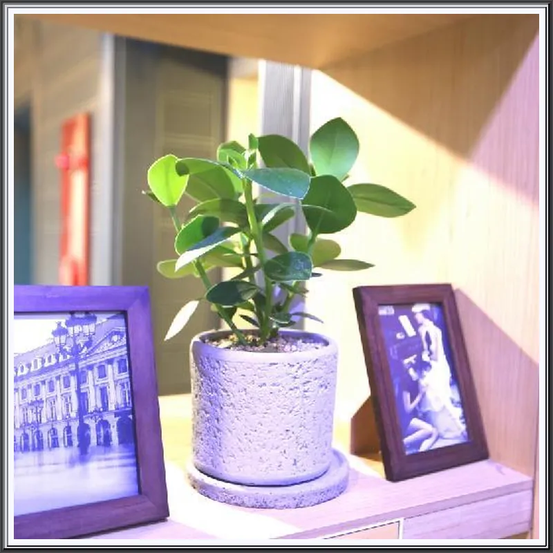MUST STAY HOTEL Myeongdong 호텔 이미지