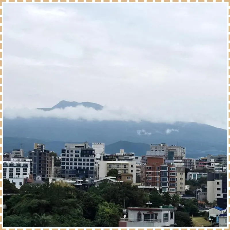 Hotel Fine Jeju 호텔 이미지