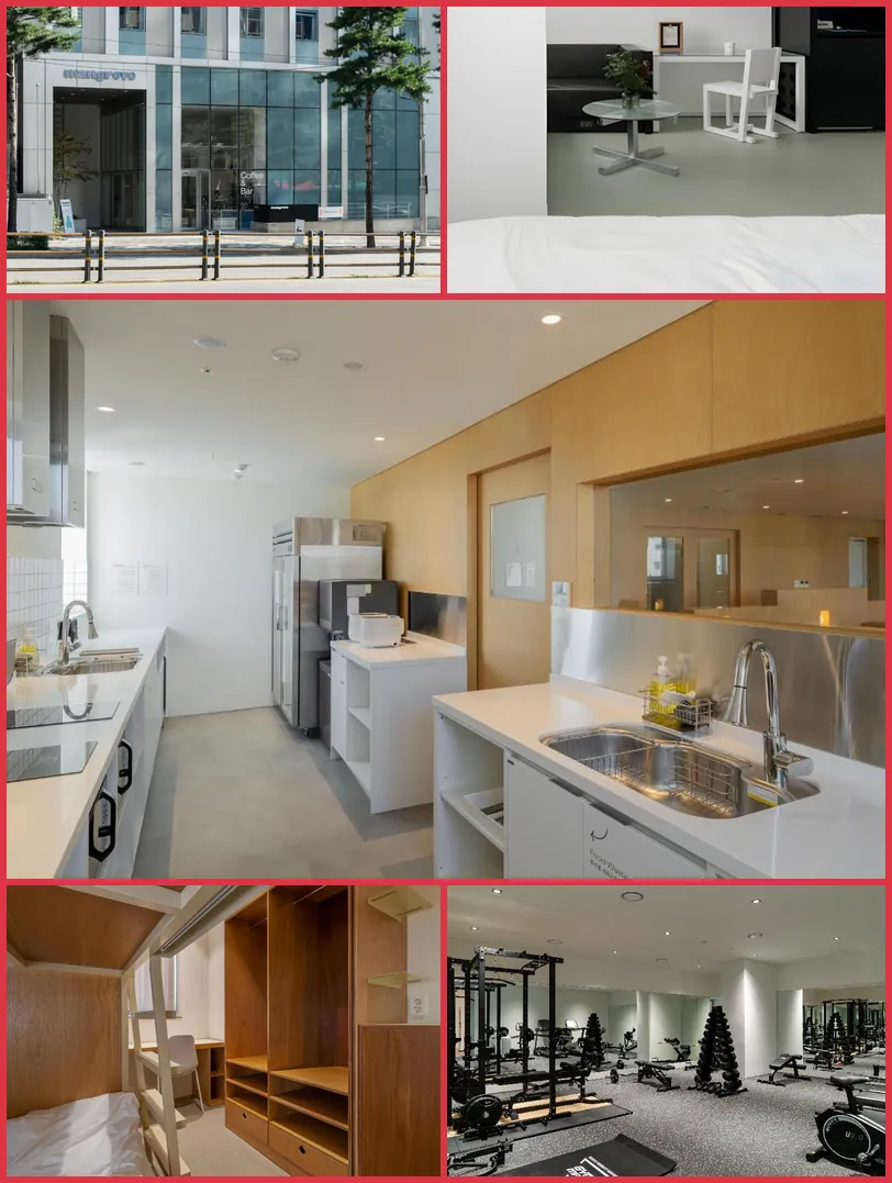 Mangrove Dongdaemun 호텔 기타 이미지