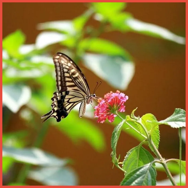 Jeonju Kotjam Hanok Pension 호텔 시설 이미지
